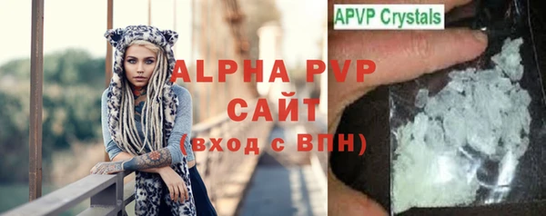 винт Абаза