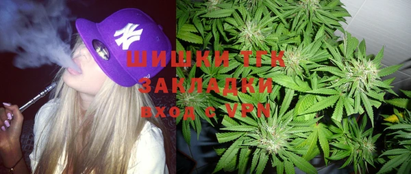 винт Абаза