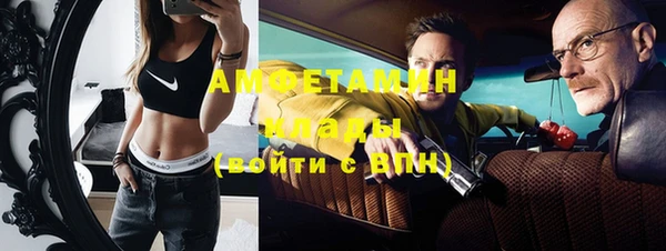 винт Абаза