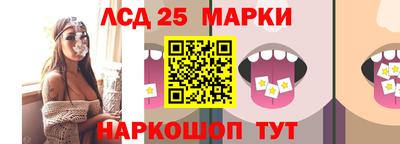 шишки Шелехов