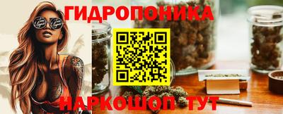 шишки Шелехов