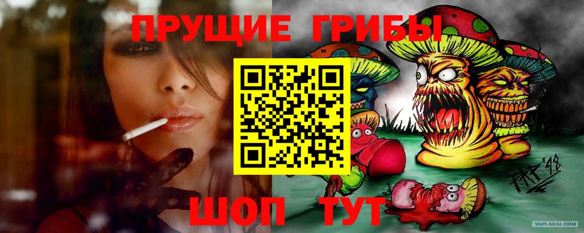 Азнакаево  Псилоцибиновые грибы Magic Shrooms  Вход с VPN  Псилоцибиновые грибы MAGIC MUSHROOMS 